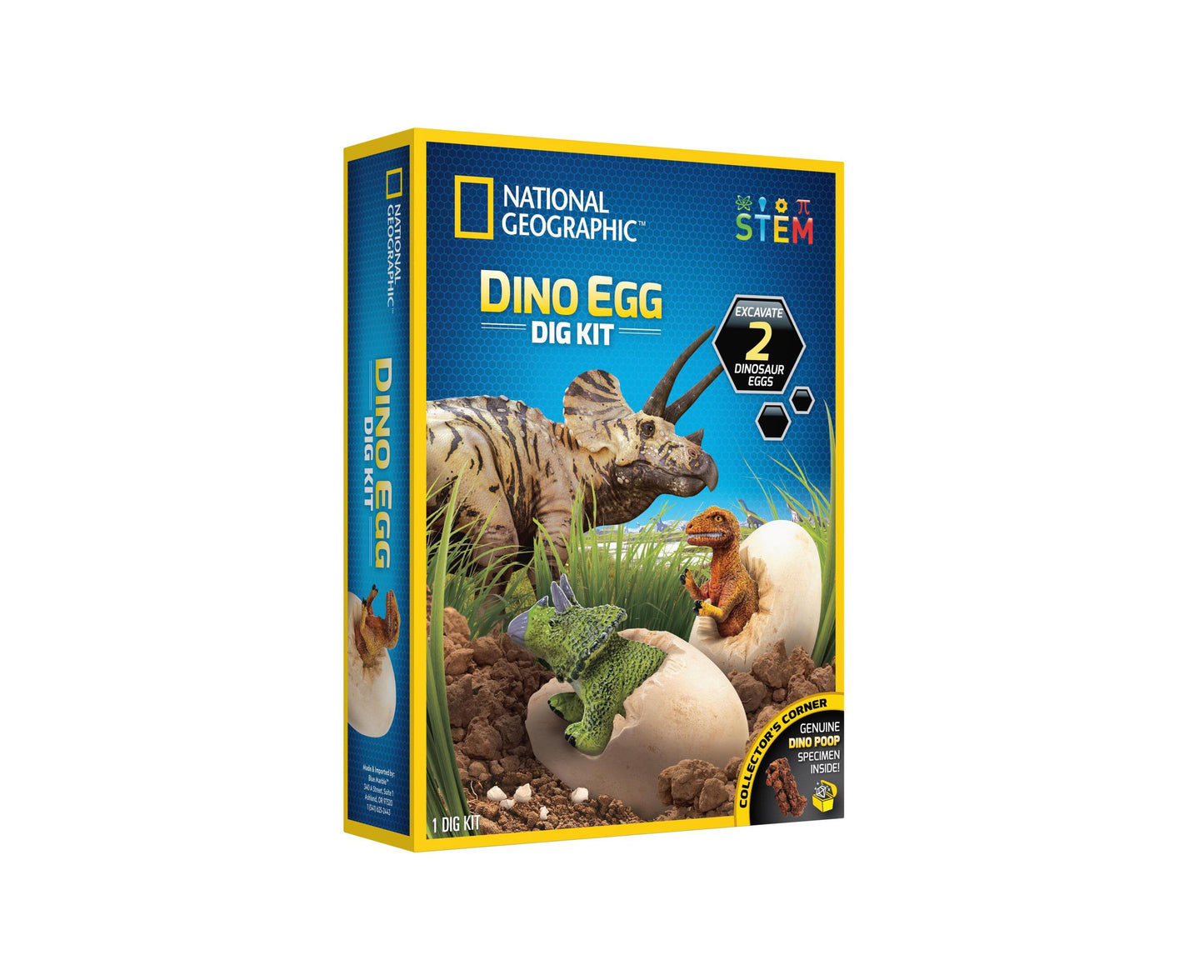 National Geographic Dino Egg Dig Kit – Excavate Real Dinosaur Figures