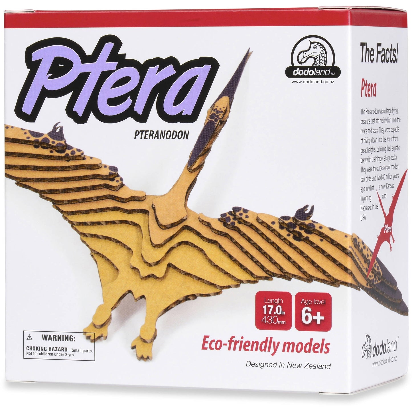 Dodoland Ptera Junior Eco-Friendly 3D Model Dinosaur Kit - Multicolor