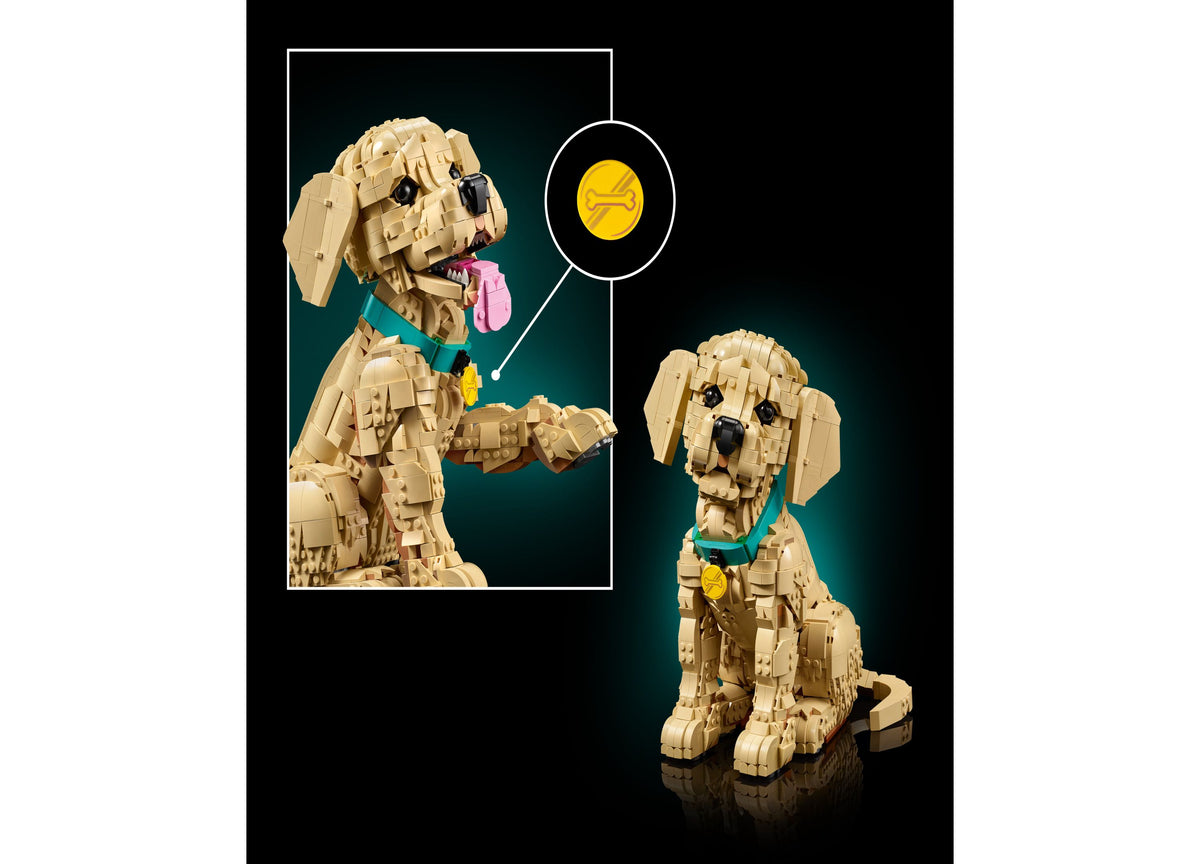 LEGO Icons Golden Retriever Puppy Building Set with a tan dog figure wearing a blue collar and yellow tag