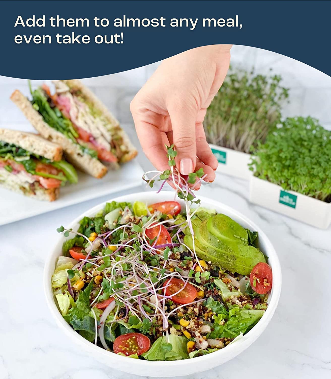 Urban Leaf Microgreen Starter Kit 2022 - Grow Fresh Anywhere