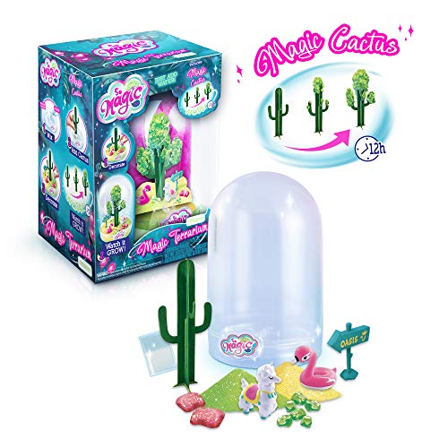 So Magic DIY Magic Desert Terrarium Kit – Large