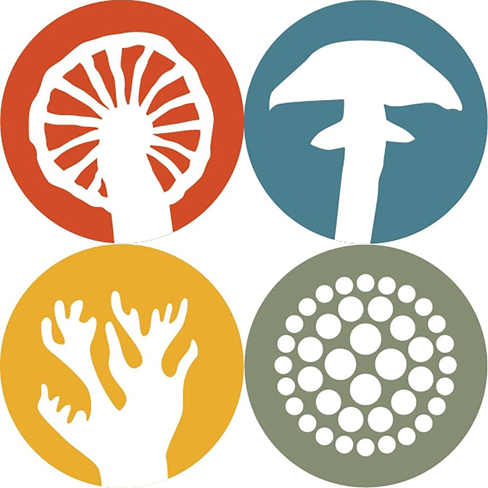 AEG: Undergrove - Strategy Board Game, Nature Resource Management, Ages 10+, 1-4 Players