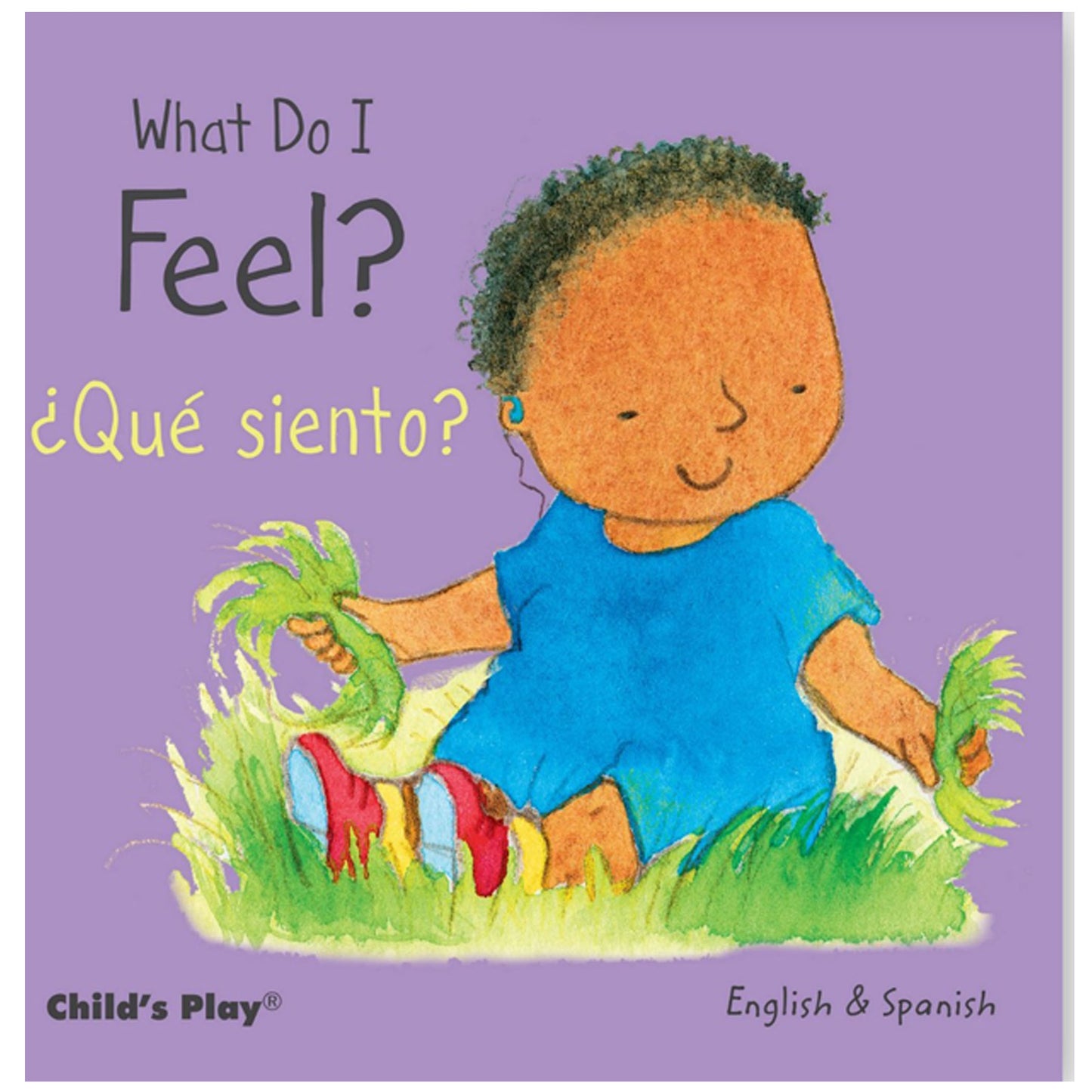 Child's Play Books Small Senses 5-Piece Bilingual Board Book Set