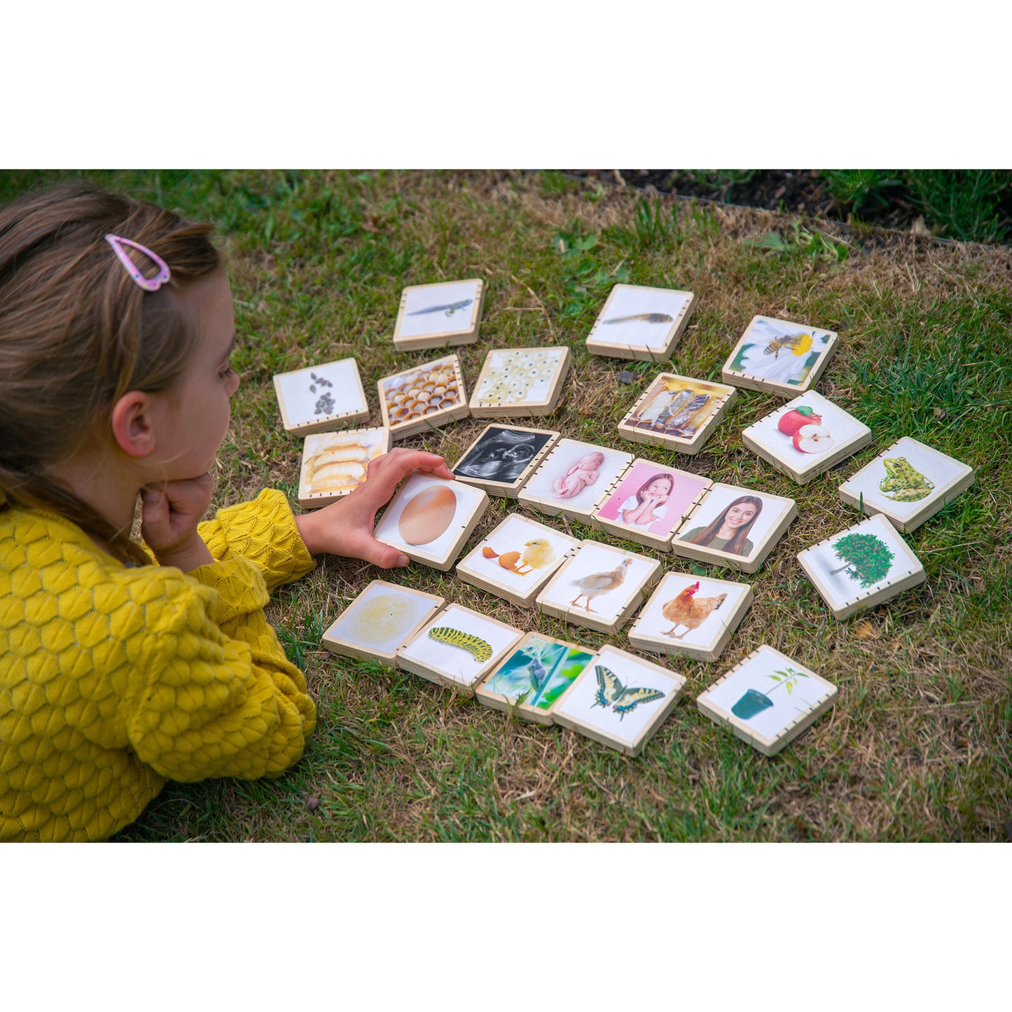 TickiT Wooden Lifecycle Exploration Tiles - Interactive Learning Set