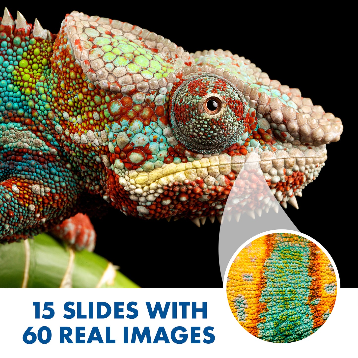 Educational Insights GeoSafari® Jr. Kidscope™