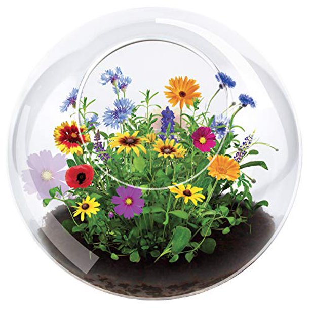 Glass terrarium dome with colorful wildflowers including yellow, purple, orange, red, and pink blooms with green stems and soil base