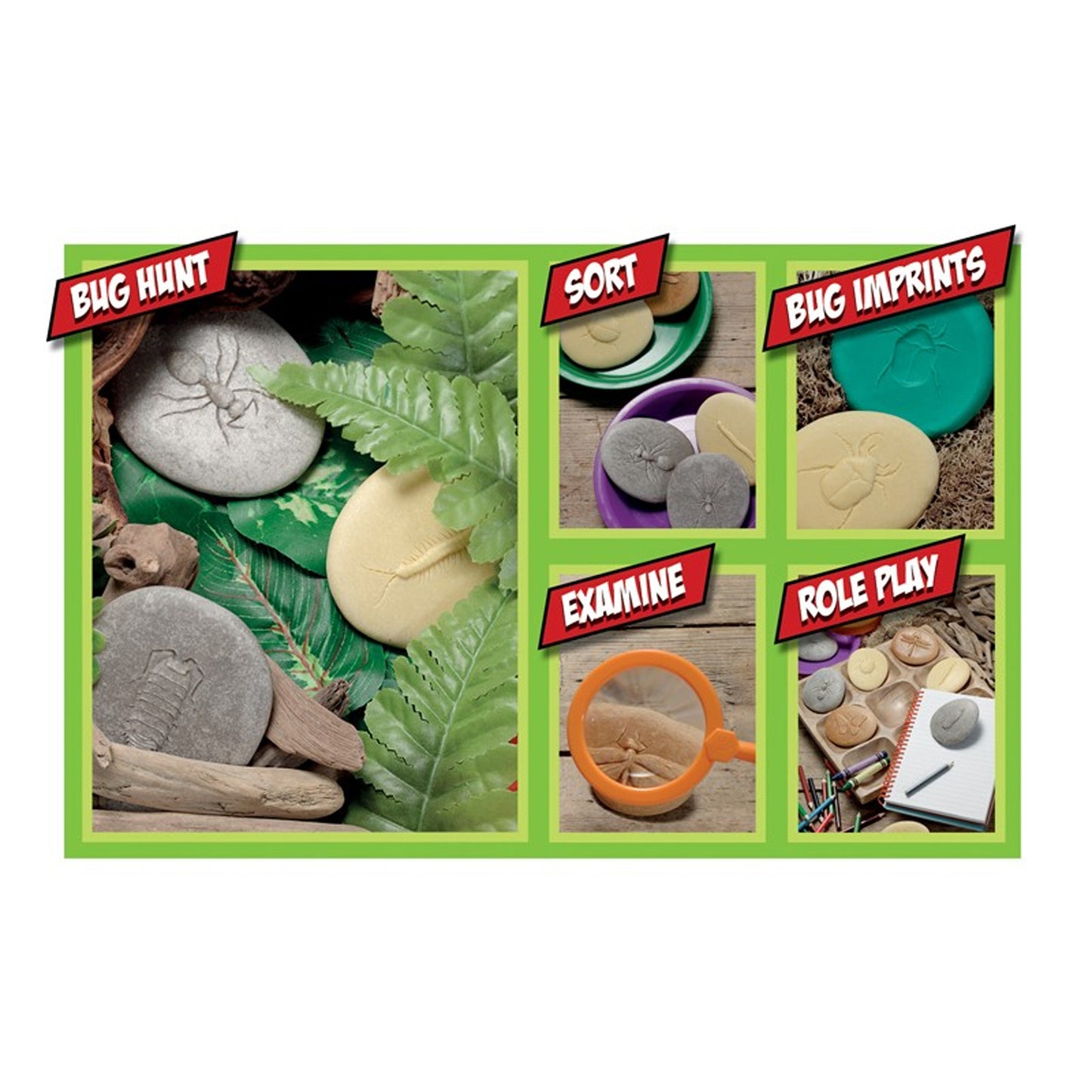 Yellow Door Let's Investigate Bugs Stone - Outdoor Learning - Pack of 8