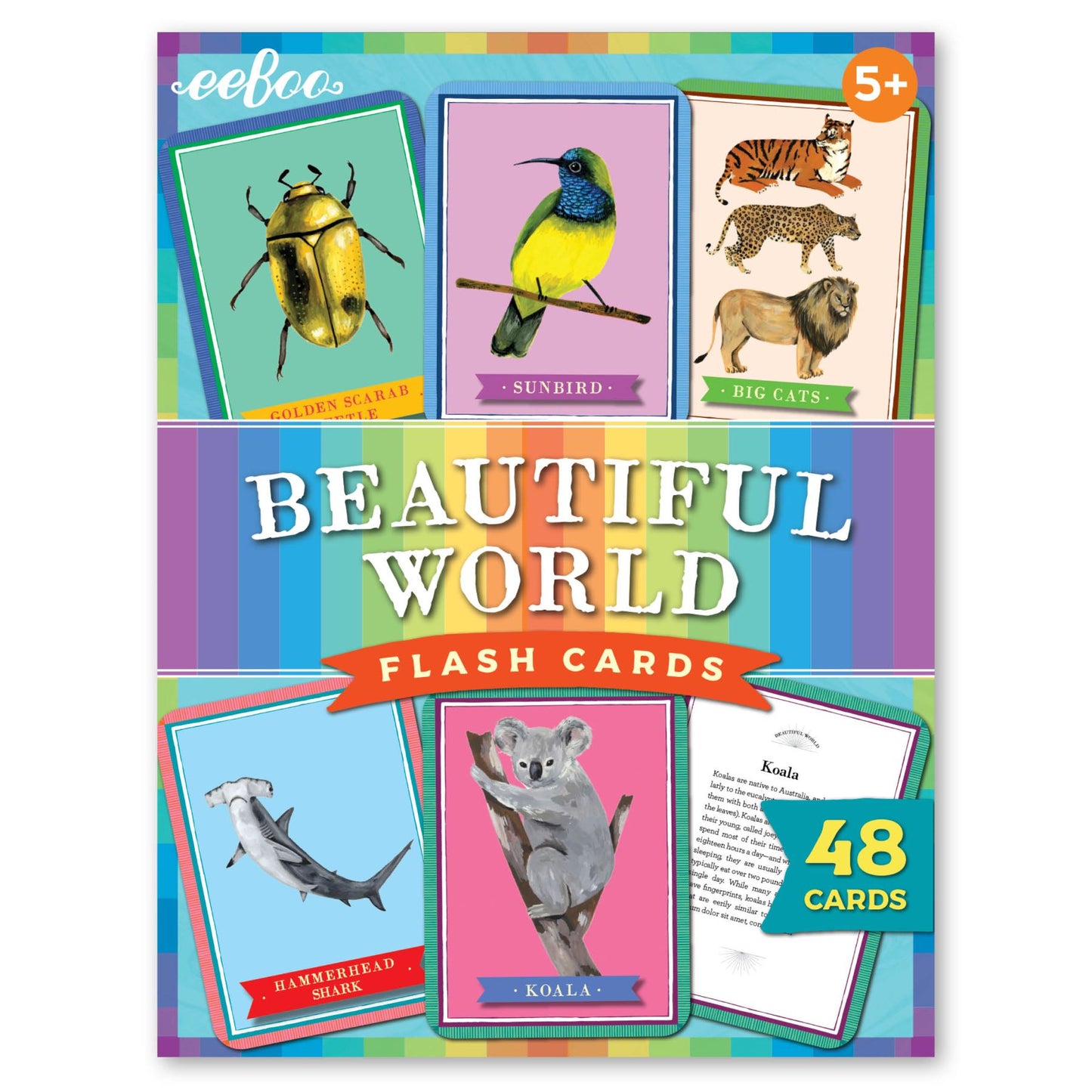 Beautiful World 48-Piece Educational Flashcard Set