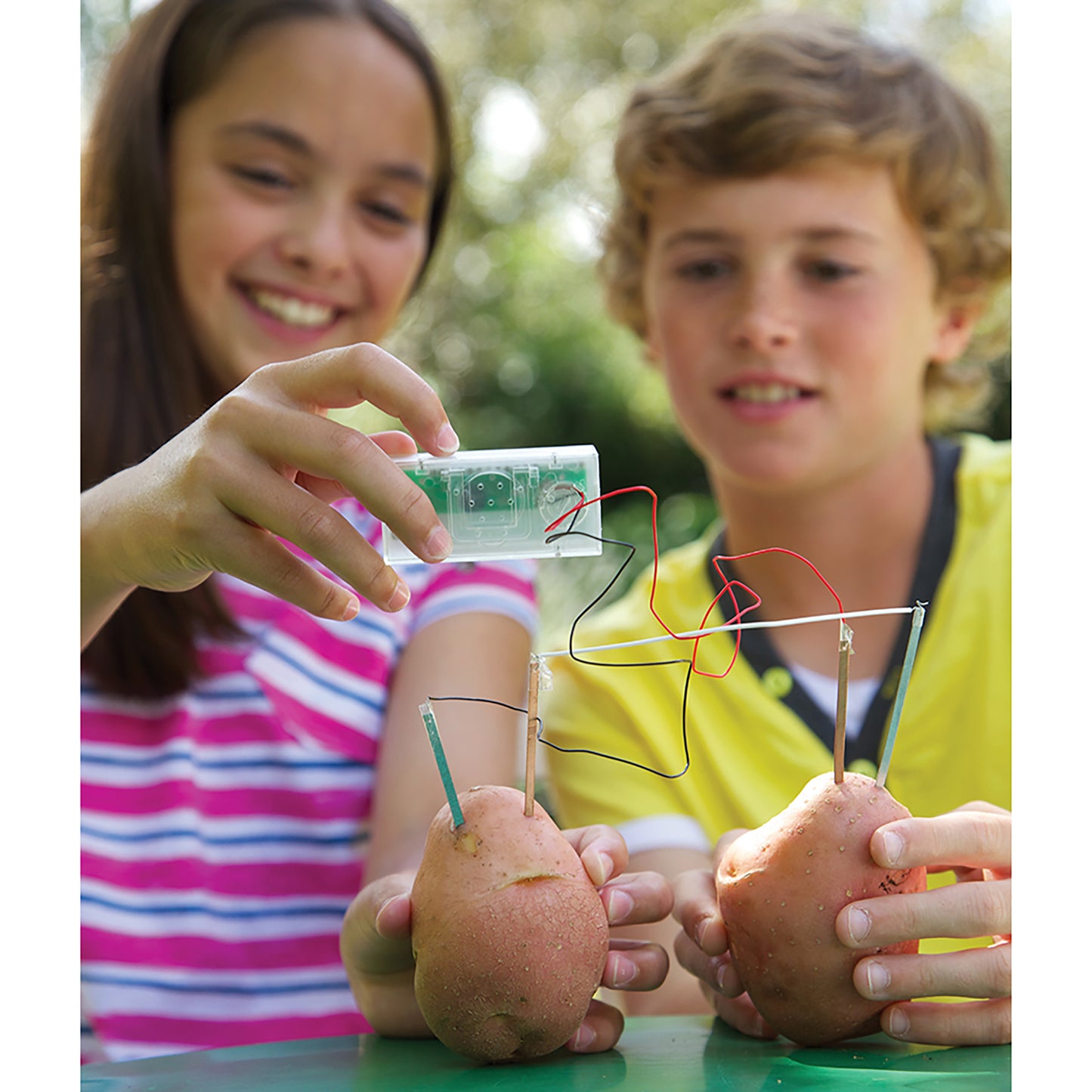 Green Science: Potato Clock