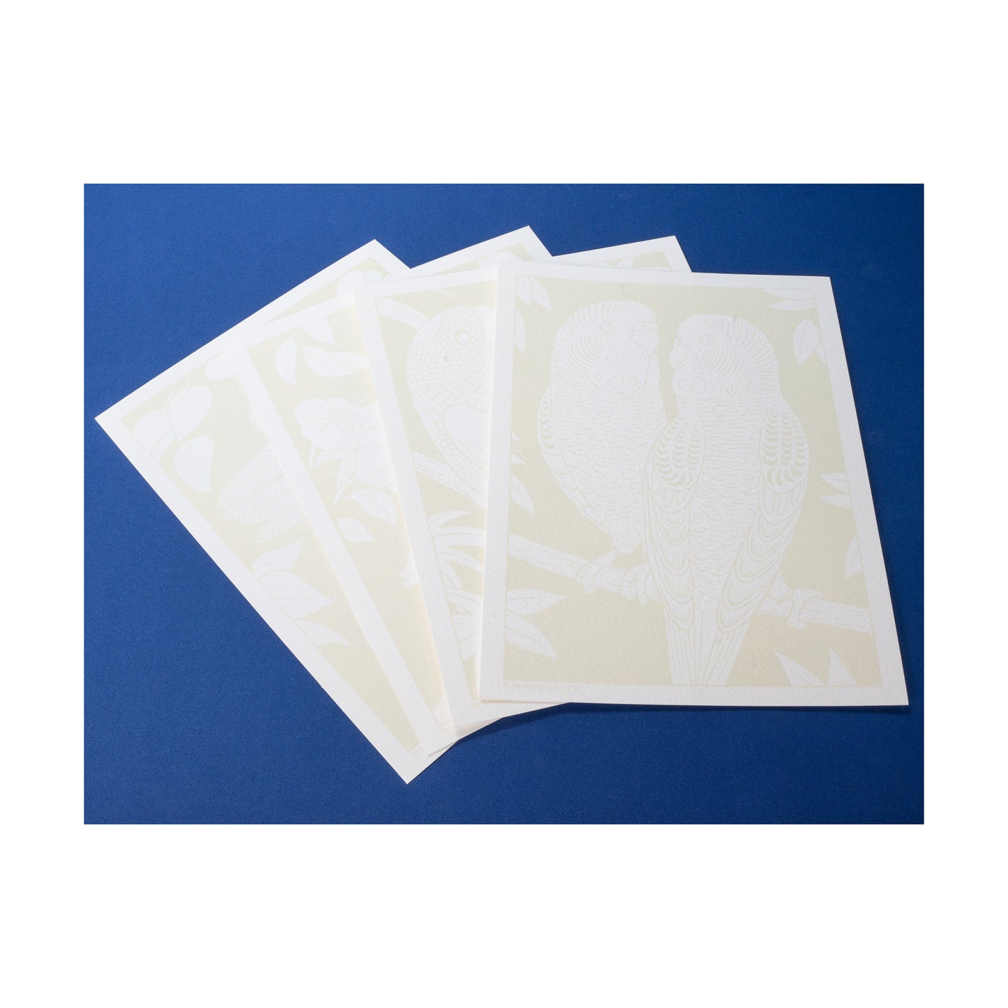 Aquarellum Junior Parrots Watercolor Art Kit