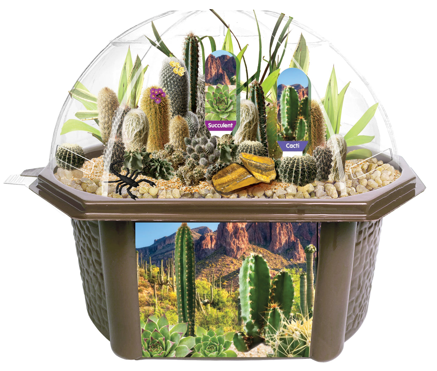 Toys By Nature Desert Biosphere Terrarium Kit - Complete Cacti & Succulent Grow Set