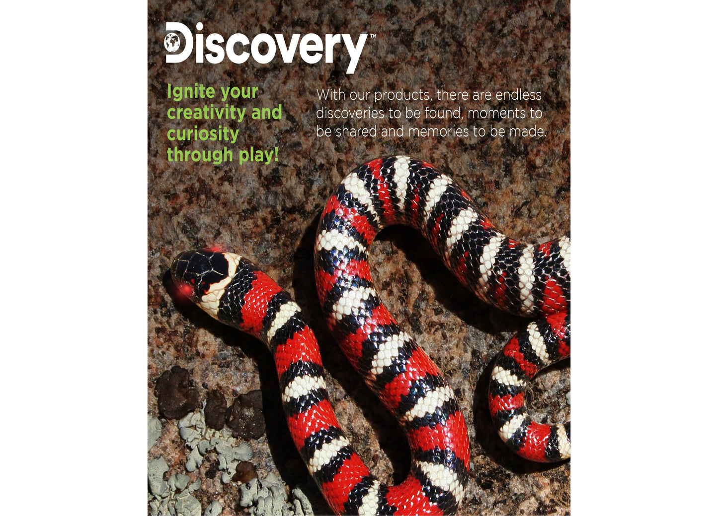 Discovery Kids Remote Control King Snake - Realistic Slithering Motion - Black