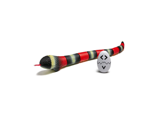 Discovery Kids Radio Control Toy King Snake - Black