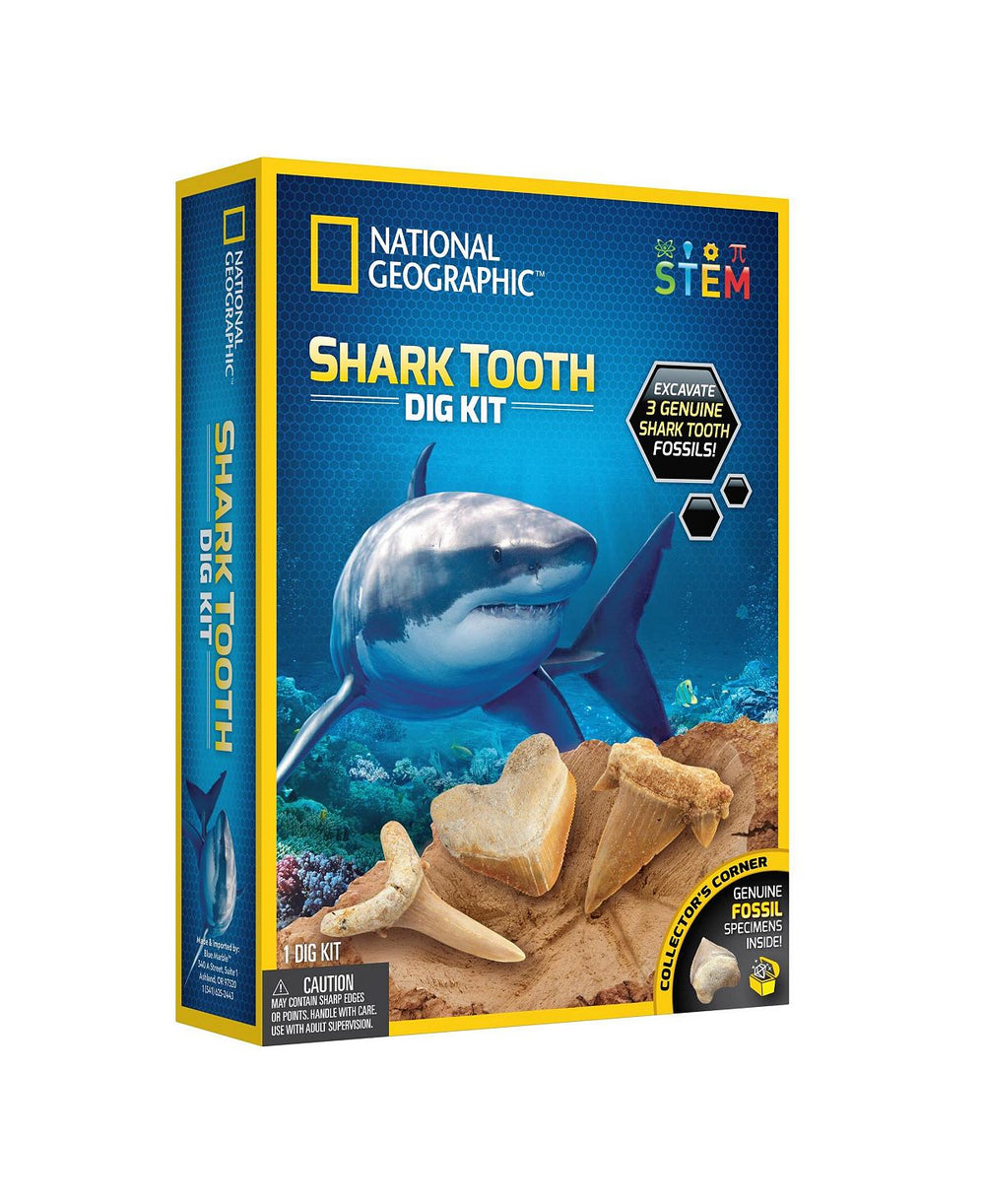 National Geographic Shark Tooth Excavation Kit ‚Äì Discover Real Fossils