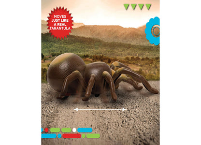 Discovery Kids Infrared Remote Control Tarantula with Glowing Eyes