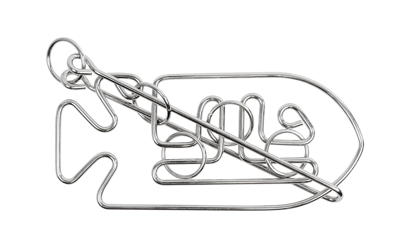 Professor Puzzle Einstein Collection Fish Metal Puzzle