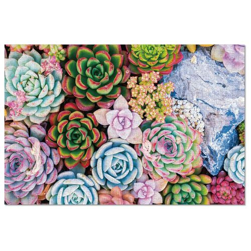 succulents puzzle 1000 GC Games Vibrant Succulents Jigsaw Puzzle