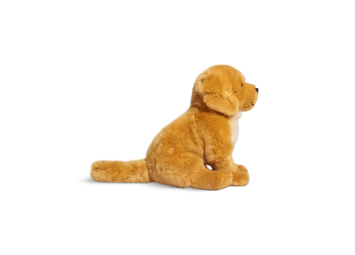 Our Generation – Cucciolo di Golden Retriever – Accessori per bambole da 46 cm – Animale di peluche Golden Retriever – Peluche per cani – Giocattolo per bambini dai 3 anni in su Our Generation – Cucciolo di Golden Retriever – Accessori per bambole da 46 cm – Animale di peluche Golden Retriever – Peluche per cani – Giocattolo per bambini dai 3 anni in su