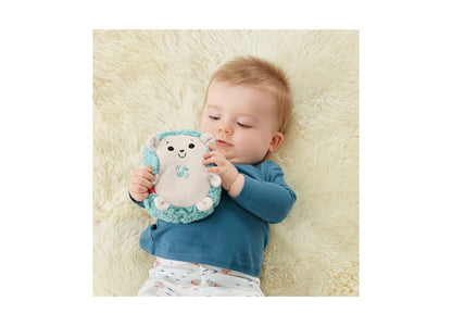 Fisher-Price Calming Vibes Hedgehog Soother plush toy in cream and turquoise held by baby