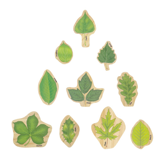 Wooden leaf-shaped stacking blocks in various green shades, labeled with tree types including poplar, willow, oak, maple, beech, and chestnut