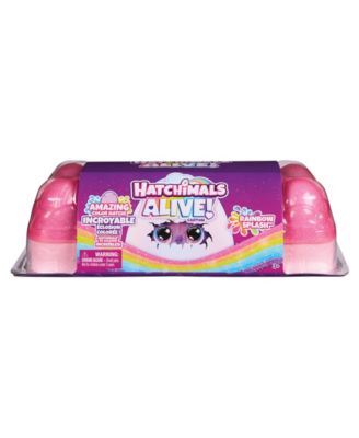 Hatchimals Alive Rainbow Splash Egg Magical Hatch Carton