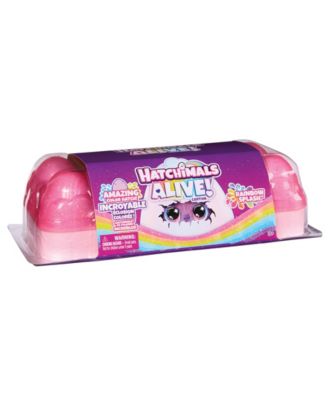 Hatchimals Alive Rainbow Splash Egg Magical Hatch Carton