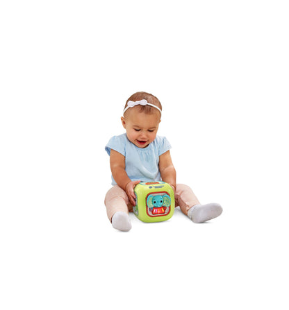 BSYLRNS Musical Animal Activity Cube