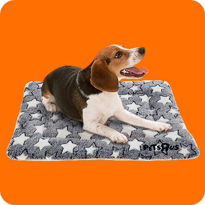 grey pet bed with white stars