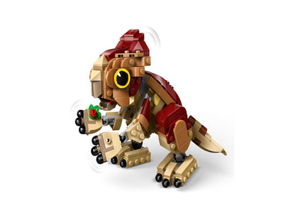 LEGO Jurassic World Baby Dinosaur Dolores 76970 - Poseable Aquilops Model, 339 Pieces