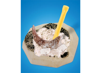 Discovery #MINDBLOWN Dino Fossils Unearthed Excavation Kit 2-Pack