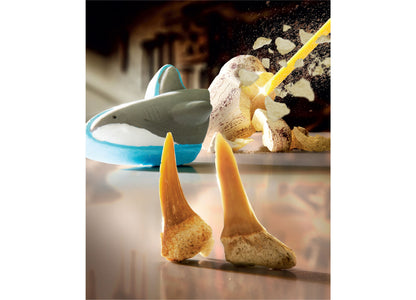 Discovery #MINDBLOWN Shark Teeth Excavation Kit (2-Pack) - Paleontology Adventure Set