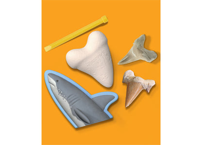 Discovery #MINDBLOWN Shark Teeth Excavation Kit (2-Pack) - Paleontology Adventure Set