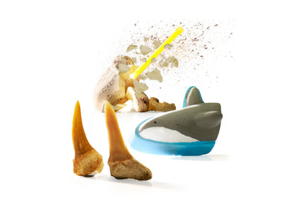 Discovery #MINDBLOWN Shark Teeth Excavation Kit (2-Pack) - Paleontology Adventure Set