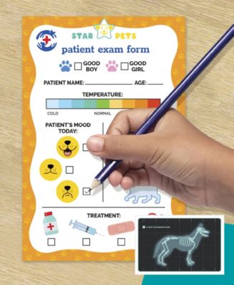 Geoffrey's Toy Box Star Pets Vet Care Playset with Plush Pet and Accessories