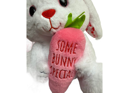 Wild Hippo Val Puns Plush Bunny Toy