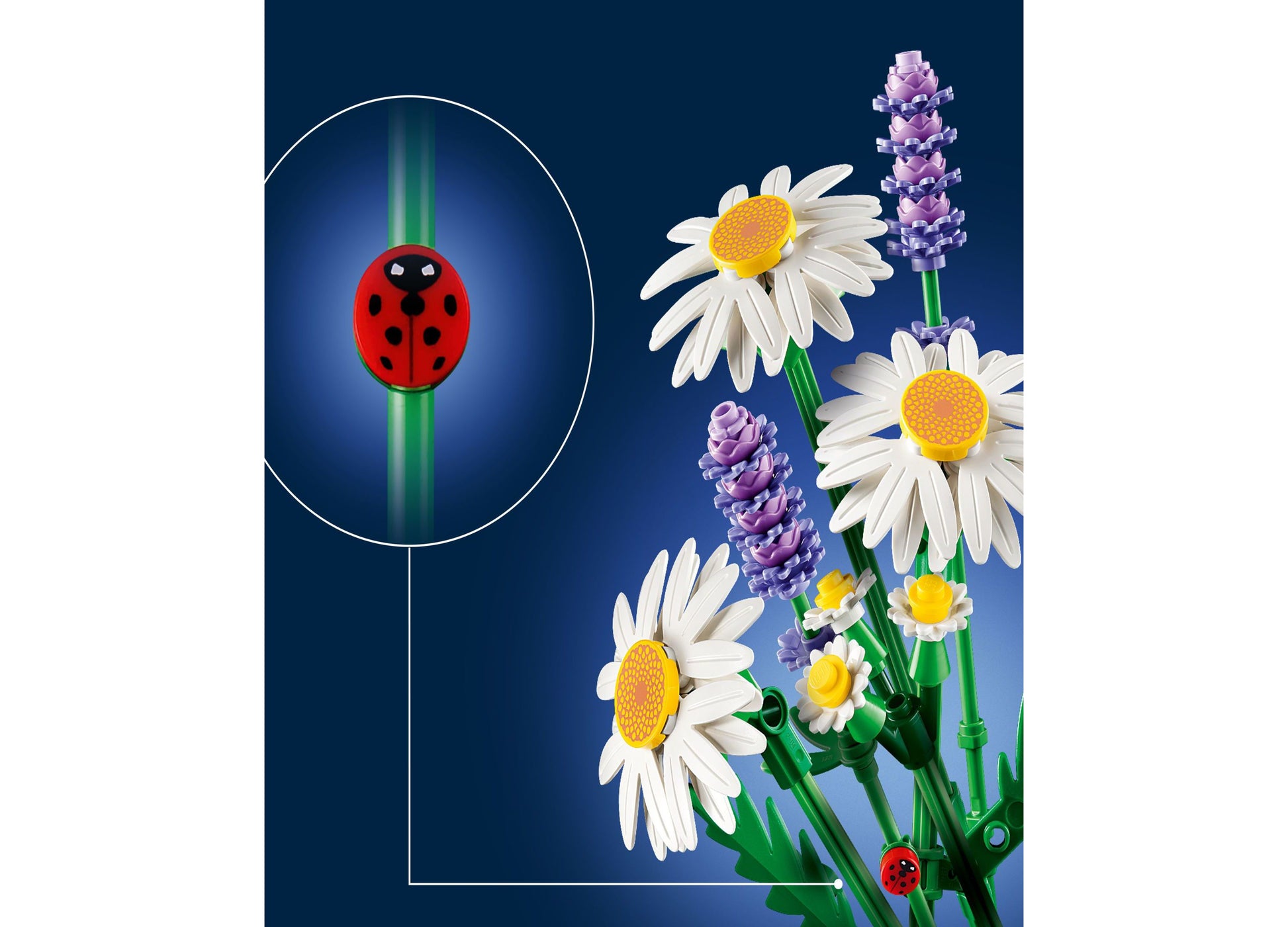 LEGO Botanicals Daisies 11508 building set with white daisies, purple lavender flowers, and red ladybugs on blue back...
