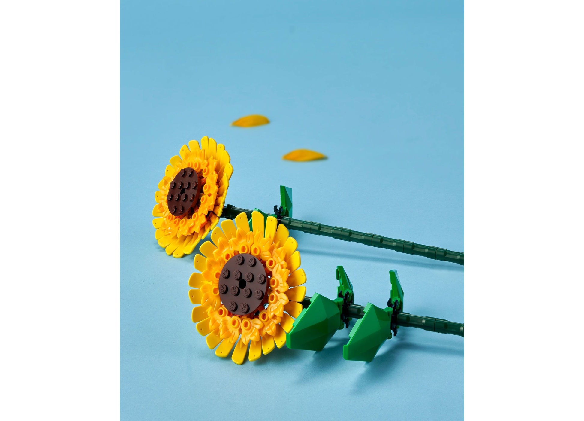 LEGO Sunflowers Building Set 40524 with yellow flowers, brown centers, and green stems on blue background