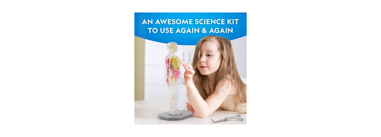 National Geographic Glow-In-The-Dark Human Body model with illuminated skeleton and organs