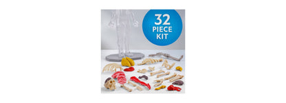 National Geographic Glow-In-The-Dark Human Body 32-piece anatomy kit with skeleton and organs
