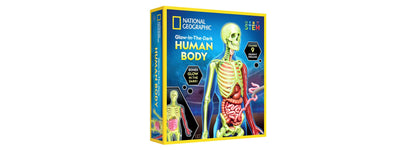 National Geographic Glow-In-The-Dark Human Body anatomical model with glowing bones and organs