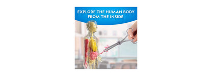 National Geographic Glow-In-The-Dark Human Body model with illuminated organs and skeletal system