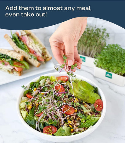 Urban Leaf Microgreen Starter Kit 2022 - Grow Fresh Anywhere