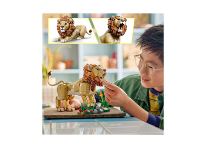 LEGO Wild Animals Majestic Lion 31386 building set with tan and brown pieces, shown assembled and being played with b...