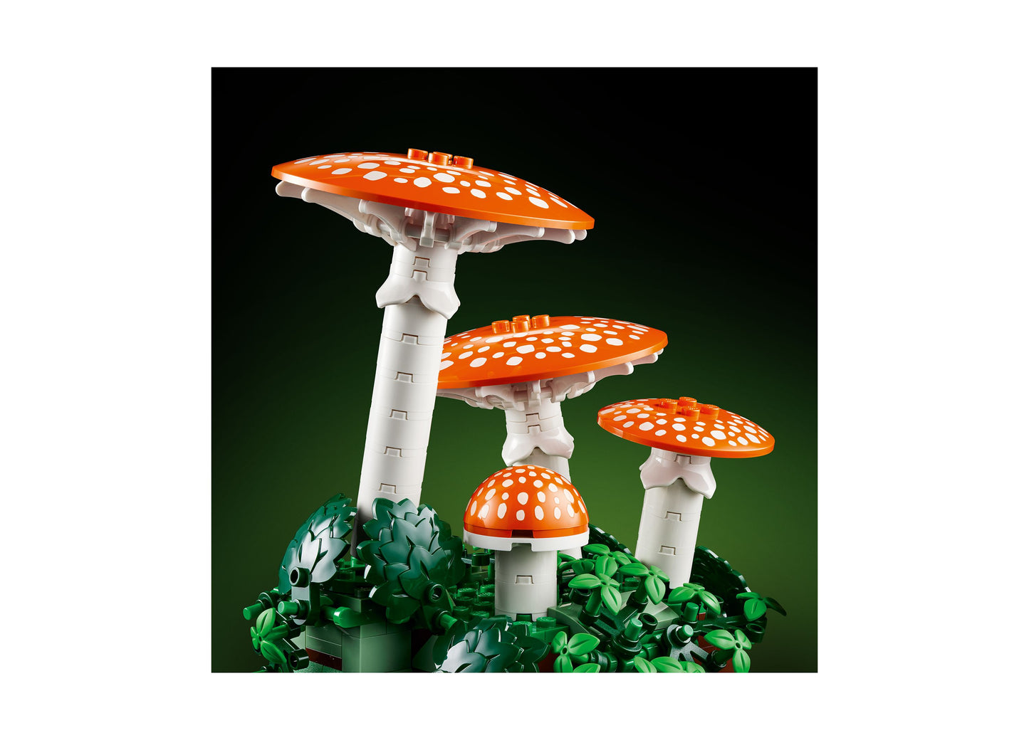 LEGO Botanicals Woodland Mushrooms building set featuring orange and white mushrooms with green foliage base