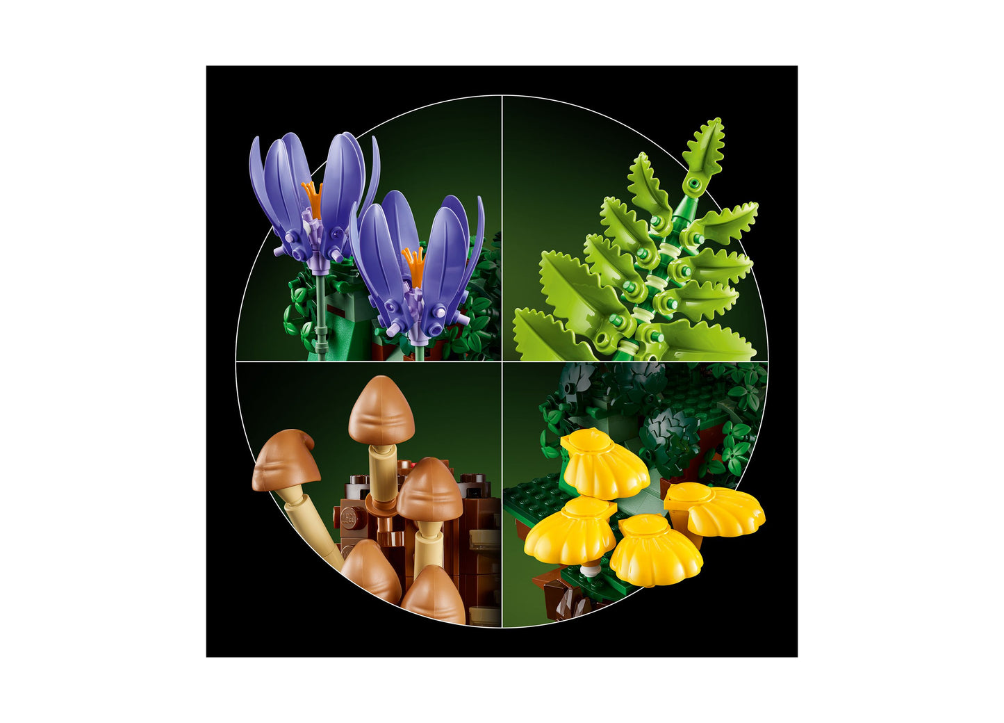 LEGO Botanicals Woodland Mushrooms set featuring purple flowers, green ferns, brown mushrooms, and yellow flowers in ...
