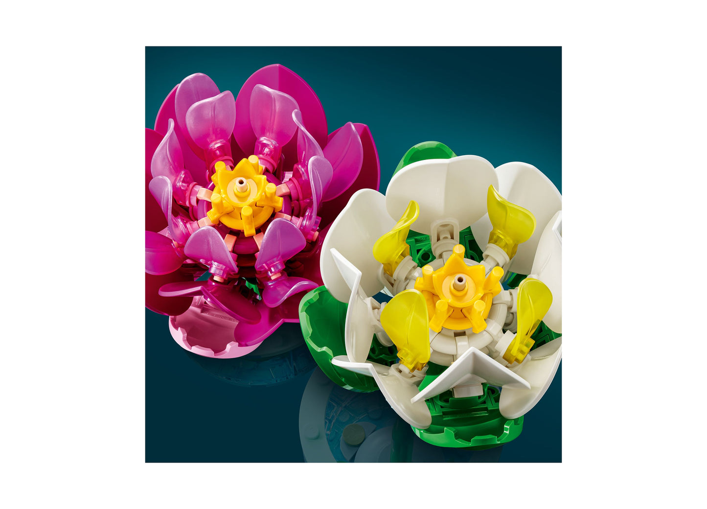 LEGO Botanicals Water Lilies 11511 building set with pink and white flower blooms and yellow centers