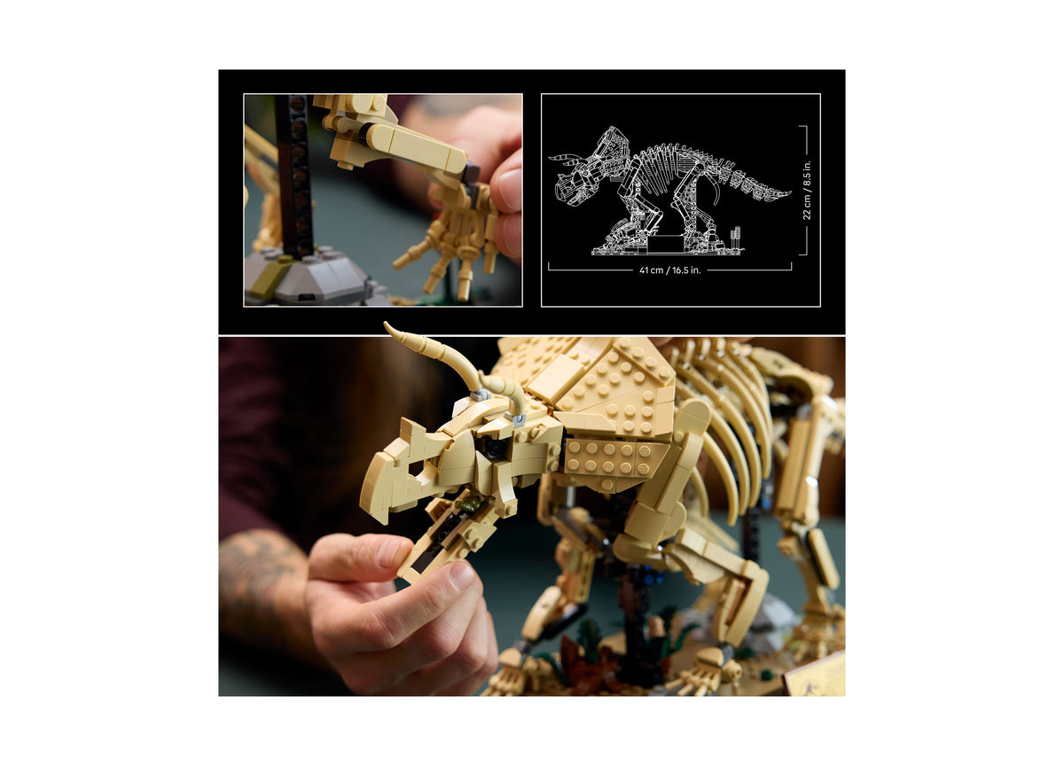 LEGO Jurassic World Triceratops fossil building set with tan skeletal model and display stand