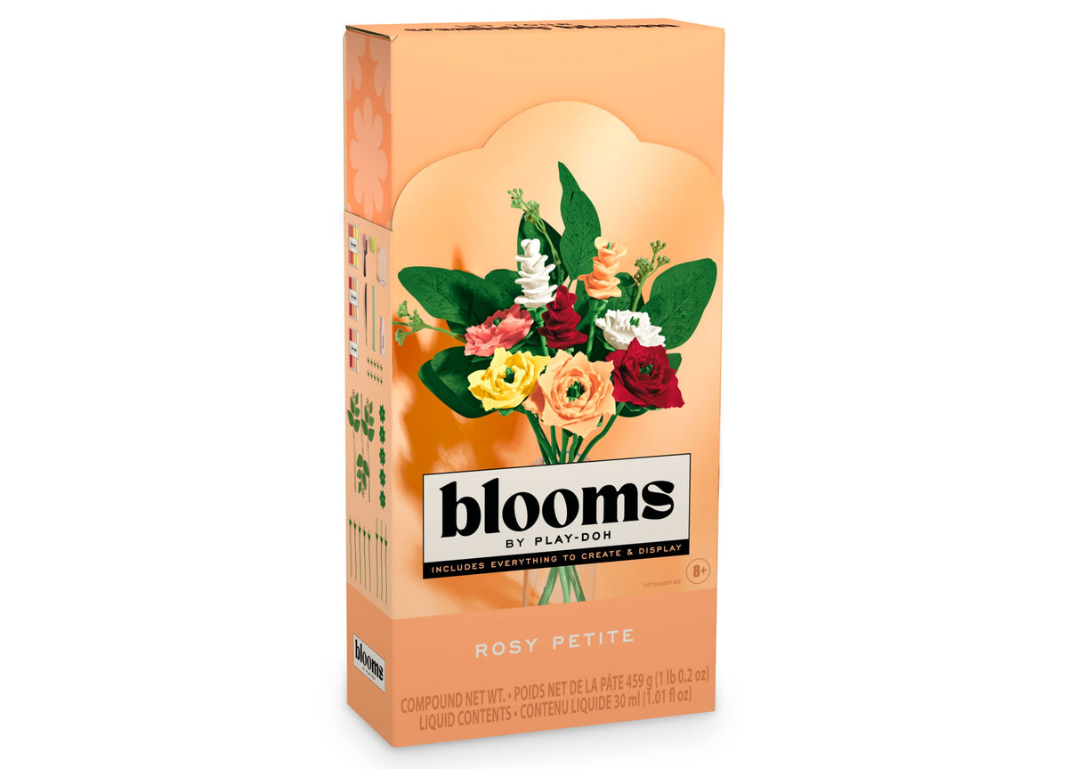 Play-Doh Blooms Rosy Petite Bouquet Kit box showing colorful flower bouquet with red, pink, yellow, white blooms and ...