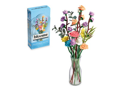 Play-Doh Blooms Wildflower Petite Bouquet Kit with colorful flowers in vase and blue packaging box
