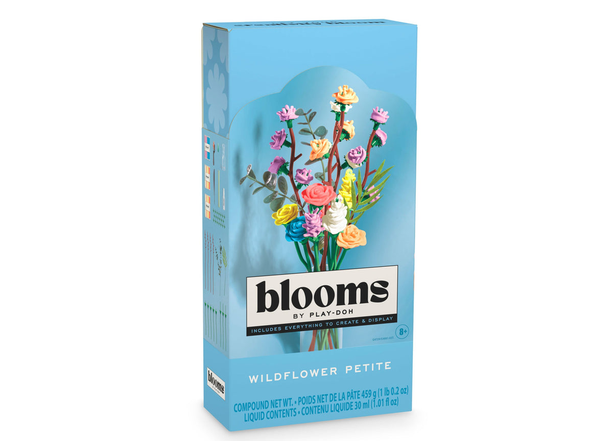 Play-Doh Blooms Wildflower Petite Bouquet Kit box showing colorful flower arrangement in vase